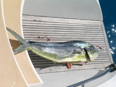 peche
