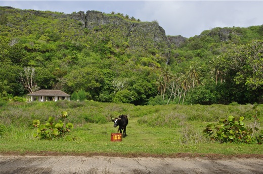 Rurutu côte ouest, dec 2010