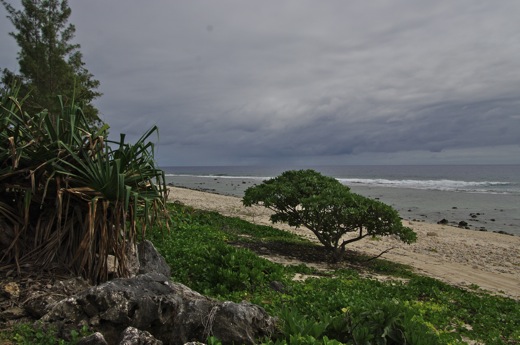 côté plage ...,dec 2010