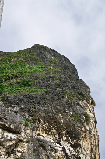 falaise de la pointe Arei, dec 2010