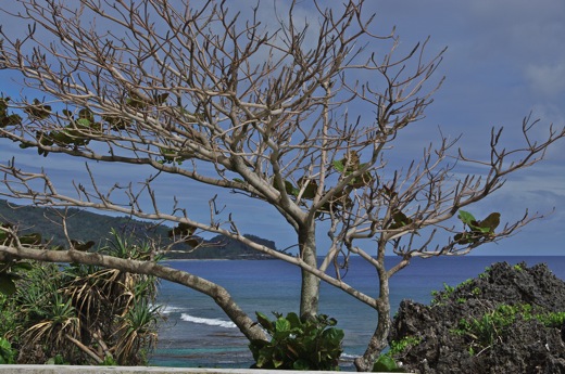 Rurutu : vue océan, dec 2010