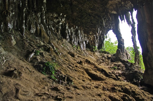 grotte Taneuapoto, dec 2010