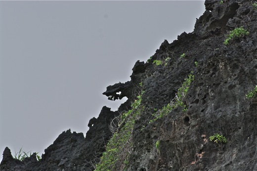 lapiaz ..., nov 2010