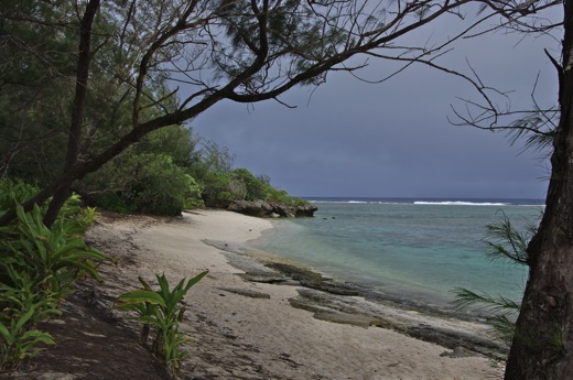 plage, nov 2010