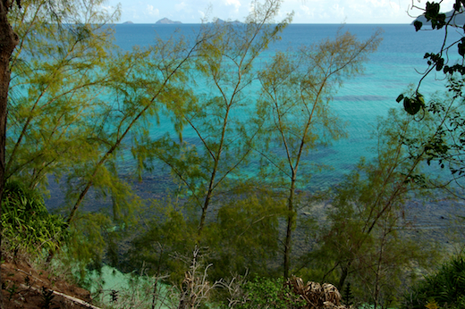vue sur d'autres îles des Gambier