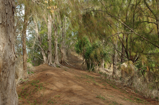 sentier de la pointe Matai'utea et baie de Gaeta