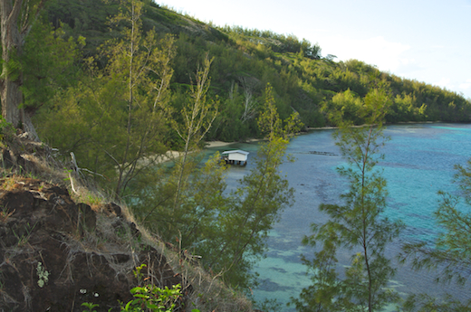 côté nord de Mangareva, ferme perlière