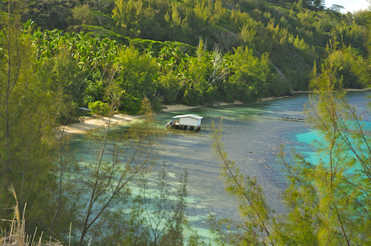 baie Gaeta, ferme perlière