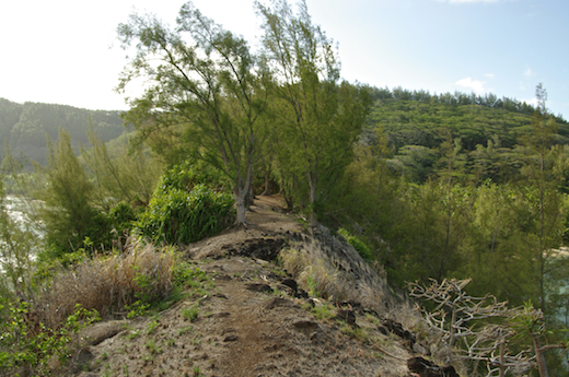 cap Matai'utea, baie Atirikigaro (à gauche), baie Gaeta (à droite)