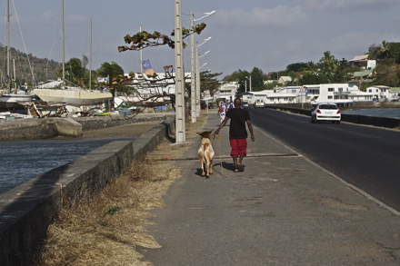 boulevard des Crabes