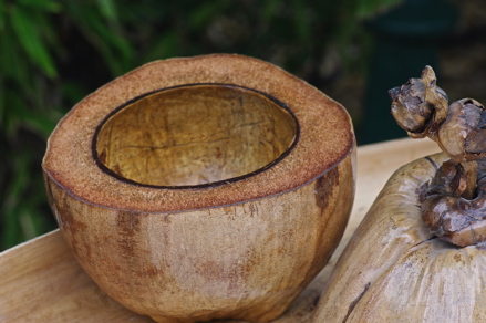 coupe de la noix de coco