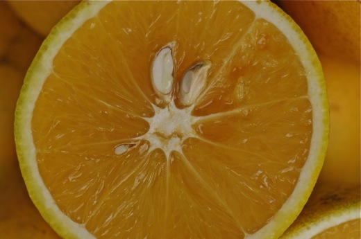 moitié d'orange