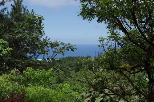 vue sur la côte ouest de Tahiti