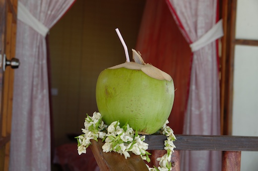 l'accueil polynésien, coco et collier fleurs Tiare