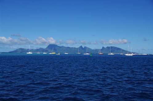 l'île de Moorea en face de la marina