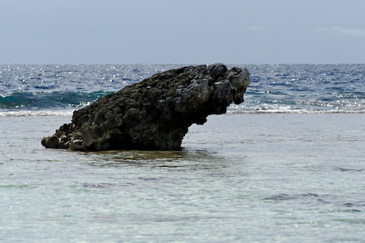 bloc corail, avril 2013