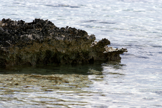 bloc corail, avril 2013