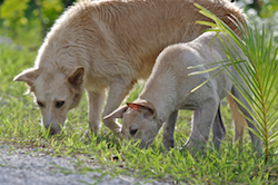 Tiare et Kaya, avril 2013