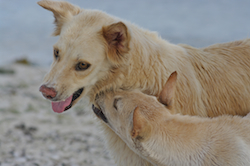 Tiare et Kaya, avril 2013