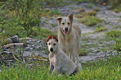 Tiare et Kaya, avril 2013