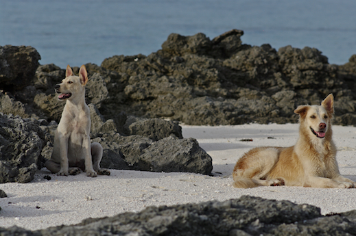 Tiare et Kaya, avril 2013