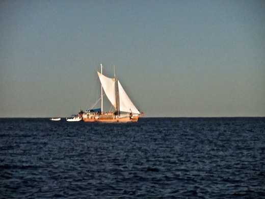 Pirogue ”UPO'O Tahiti”, juil 2010