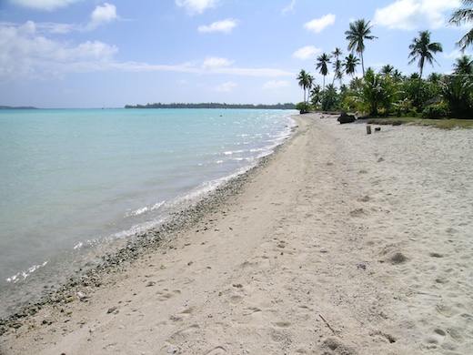 plage, cocotiers