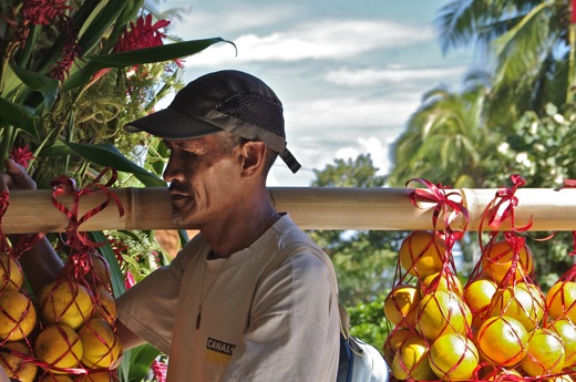porteur d'oranges, juin 2010
