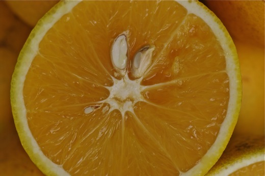moitié d'orange, juin 2010
