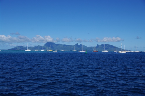 l'île de Moorea en face de la marina, dec 2009