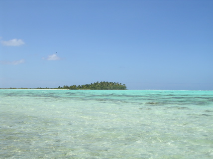 motu aux oiseaux Tetiaroa