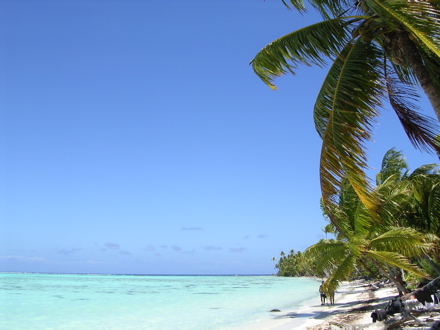 plage sur le motu Tetiaroa