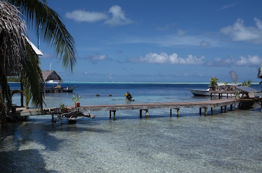 Tetamanu plongée passe sud Fakarava